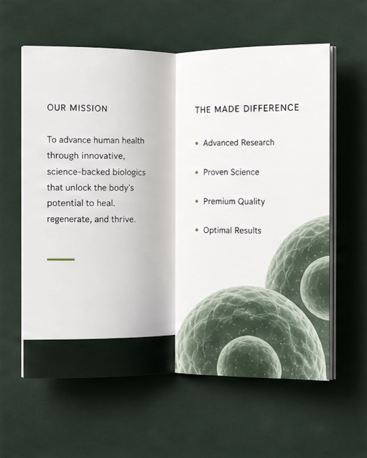 Open brochure spread — Our Mission and The Made Difference